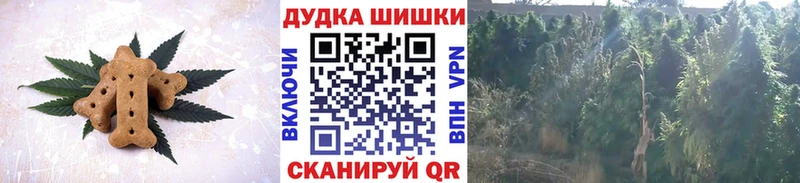 Canna-Cookies конопля  даркнет состав  Красково  наркота 