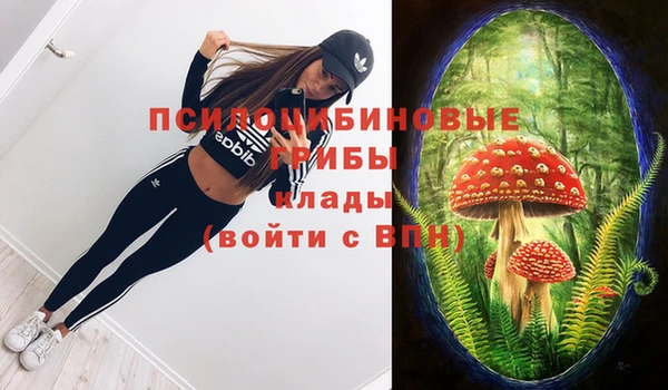 не бодяженный Дубна