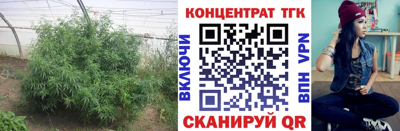 Дистиллят ТГК THC oil  Красково 