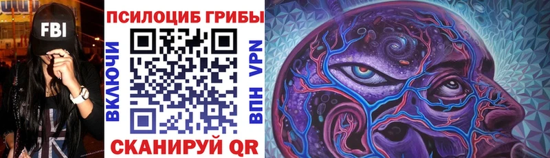 Псилоцибиновые грибы Magic Shrooms  гидра зеркало  Красково  где можно купить наркотик 