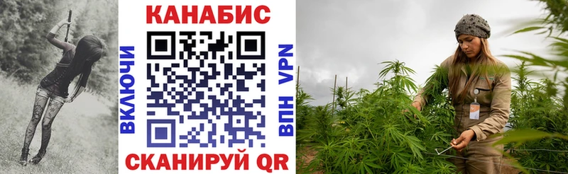 Шишки марихуана THC 21%  наркошоп  Красково 